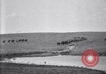 Immagine di Stati Uniti Esercito 8° reggimento di cavalleria acqua i loro cavalli dopo manovre Marfa Texas USA, 1923, secondo 38 filmato di repertorio 65675036447