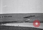 Immagine di Stati Uniti Esercito 8° reggimento di cavalleria acqua i loro cavalli dopo manovre Marfa Texas USA, 1923, secondo 39 filmato di repertorio 65675036447