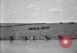 Immagine di Stati Uniti Esercito 8° reggimento di cavalleria acqua i loro cavalli dopo manovre Marfa Texas USA, 1923, secondo 40 filmato di repertorio 65675036447