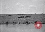 Immagine di Stati Uniti Esercito 8° reggimento di cavalleria acqua i loro cavalli dopo manovre Marfa Texas USA, 1923, secondo 41 filmato di repertorio 65675036447