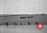 Immagine di Stati Uniti Esercito 8° reggimento di cavalleria acqua i loro cavalli dopo manovre Marfa Texas USA, 1923, secondo 42 filmato di repertorio 65675036447