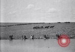 Immagine di Stati Uniti Esercito 8° reggimento di cavalleria acqua i loro cavalli dopo manovre Marfa Texas USA, 1923, secondo 43 filmato di repertorio 65675036447