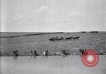 Immagine di Stati Uniti Esercito 8° reggimento di cavalleria acqua i loro cavalli dopo manovre Marfa Texas USA, 1923, secondo 44 filmato di repertorio 65675036447