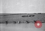 Immagine di Stati Uniti Esercito 8° reggimento di cavalleria acqua i loro cavalli dopo manovre Marfa Texas USA, 1923, secondo 45 filmato di repertorio 65675036447