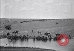 Immagine di Stati Uniti Esercito 8° reggimento di cavalleria acqua i loro cavalli dopo manovre Marfa Texas USA, 1923, secondo 50 filmato di repertorio 65675036447