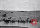 Immagine di Stati Uniti Esercito 8° reggimento di cavalleria acqua i loro cavalli dopo manovre Marfa Texas USA, 1923, secondo 51 filmato di repertorio 65675036447