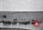 Immagine di Stati Uniti Esercito 8° reggimento di cavalleria acqua i loro cavalli dopo manovre Marfa Texas USA, 1923, secondo 53 filmato di repertorio 65675036447