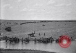 Immagine di Stati Uniti Esercito 8° reggimento di cavalleria acqua i loro cavalli dopo manovre Marfa Texas USA, 1923, secondo 54 filmato di repertorio 65675036447