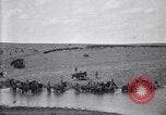 Immagine di Stati Uniti Esercito 8° reggimento di cavalleria acqua i loro cavalli dopo manovre Marfa Texas USA, 1923, secondo 55 filmato di repertorio 65675036447