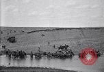Immagine di Stati Uniti Esercito 8° reggimento di cavalleria acqua i loro cavalli dopo manovre Marfa Texas USA, 1923, secondo 57 filmato di repertorio 65675036447
