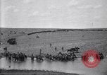 Immagine di Stati Uniti Esercito 8° reggimento di cavalleria acqua i loro cavalli dopo manovre Marfa Texas USA, 1923, secondo 58 filmato di repertorio 65675036447