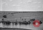 Immagine di Stati Uniti Esercito 8° reggimento di cavalleria acqua i loro cavalli dopo manovre Marfa Texas USA, 1923, secondo 59 filmato di repertorio 65675036447