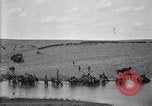 Immagine di Stati Uniti Esercito 8° reggimento di cavalleria acqua i loro cavalli dopo manovre Marfa Texas USA, 1923, secondo 60 filmato di repertorio 65675036447