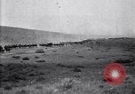 Immagine di Stati Uniti Esercito di unità di cavalleria ritorno alla base dopo le manovre in Marfa Texas Marfa Texas USA, 1923, secondo 14 filmato di repertorio 65675036448