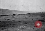 Immagine di Stati Uniti Esercito di unità di cavalleria ritorno alla base dopo le manovre in Marfa Texas Marfa Texas USA, 1923, secondo 19 filmato di repertorio 65675036448