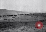 Immagine di Stati Uniti Esercito di unità di cavalleria ritorno alla base dopo le manovre in Marfa Texas Marfa Texas USA, 1923, secondo 25 filmato di repertorio 65675036448