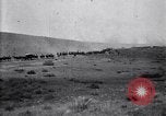 Immagine di Stati Uniti Esercito di unità di cavalleria ritorno alla base dopo le manovre in Marfa Texas Marfa Texas USA, 1923, secondo 30 filmato di repertorio 65675036448