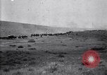 Immagine di Stati Uniti Esercito di unità di cavalleria ritorno alla base dopo le manovre in Marfa Texas Marfa Texas USA, 1923, secondo 36 filmato di repertorio 65675036448
