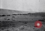Immagine di Stati Uniti Esercito di unità di cavalleria ritorno alla base dopo le manovre in Marfa Texas Marfa Texas USA, 1923, secondo 38 filmato di repertorio 65675036448