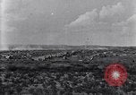 Image of Base camp of the U.S. Army 1st Cavalry Division at Alamito, Texas Texas United States USA, 1923, second 12 stock footage video 65675036451