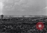 Image of Base camp of the U.S. Army 1st Cavalry Division at Alamito, Texas Texas United States USA, 1923, second 19 stock footage video 65675036451