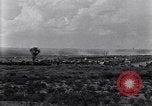 Image of Base camp of the U.S. Army 1st Cavalry Division at Alamito, Texas Texas United States USA, 1923, second 28 stock footage video 65675036451