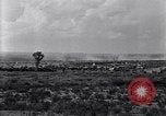 Image of Base camp of the U.S. Army 1st Cavalry Division at Alamito, Texas Texas United States USA, 1923, second 30 stock footage video 65675036451