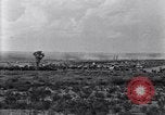 Image of Base camp of the U.S. Army 1st Cavalry Division at Alamito, Texas Texas United States USA, 1923, second 34 stock footage video 65675036451