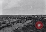 Image of Base camp of the U.S. Army 1st Cavalry Division at Alamito, Texas Texas United States USA, 1923, second 59 stock footage video 65675036451