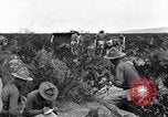 Image of The U.S. Army 82nd Field Artillery (Horse) fire a battery of French 75 Texas United States USA, 1923, second 7 stock footage video 65675036452