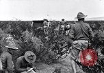 Image of The U.S. Army 82nd Field Artillery (Horse) fire a battery of French 75 Texas United States USA, 1923, second 8 stock footage video 65675036452