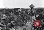 Image of The U.S. Army 82nd Field Artillery (Horse) fire a battery of French 75 Texas United States USA, 1923, second 15 stock footage video 65675036452