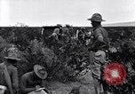 Image of The U.S. Army 82nd Field Artillery (Horse) fire a battery of French 75 Texas United States USA, 1923, second 16 stock footage video 65675036452