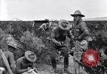 Image of The U.S. Army 82nd Field Artillery (Horse) fire a battery of French 75 Texas United States USA, 1923, second 21 stock footage video 65675036452