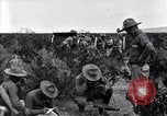 Image of The U.S. Army 82nd Field Artillery (Horse) fire a battery of French 75 Texas United States USA, 1923, second 24 stock footage video 65675036452