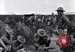 Image of The U.S. Army 82nd Field Artillery (Horse) fire a battery of French 75 Texas United States USA, 1923, second 25 stock footage video 65675036452