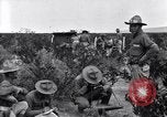 Image of The U.S. Army 82nd Field Artillery (Horse) fire a battery of French 75 Texas United States USA, 1923, second 31 stock footage video 65675036452