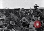 Image of The U.S. Army 82nd Field Artillery (Horse) fire a battery of French 75 Texas United States USA, 1923, second 32 stock footage video 65675036452