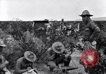 Image of The U.S. Army 82nd Field Artillery (Horse) fire a battery of French 75 Texas United States USA, 1923, second 37 stock footage video 65675036452