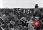 Image of The U.S. Army 82nd Field Artillery (Horse) fire a battery of French 75 Texas United States USA, 1923, second 50 stock footage video 65675036452