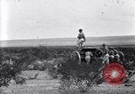 Image of The U.S. Army 82nd Field Artillery (Horse) fire a battery of French 75 Texas United States USA, 1923, second 60 stock footage video 65675036452