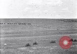 Image of U.S. Army 1st Cavalry Division maneuvers in Marfa, Texas Texas United States USA, 1923, second 10 stock footage video 65675036453