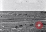 Image of U.S. Army 1st Cavalry Division maneuvers in Marfa, Texas Texas United States USA, 1923, second 15 stock footage video 65675036453
