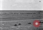 Image of U.S. Army 1st Cavalry Division maneuvers in Marfa, Texas Texas United States USA, 1923, second 21 stock footage video 65675036453