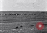 Image of U.S. Army 1st Cavalry Division maneuvers in Marfa, Texas Texas United States USA, 1923, second 22 stock footage video 65675036453
