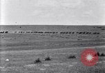 Image of U.S. Army 1st Cavalry Division maneuvers in Marfa, Texas Texas United States USA, 1923, second 24 stock footage video 65675036453