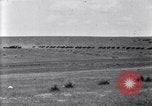 Image of U.S. Army 1st Cavalry Division maneuvers in Marfa, Texas Texas United States USA, 1923, second 26 stock footage video 65675036453