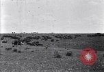 Image of U.S. Army 1st Cavalry Division maneuvers in Marfa, Texas Texas United States USA, 1923, second 31 stock footage video 65675036453