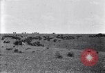Image of U.S. Army 1st Cavalry Division maneuvers in Marfa, Texas Texas United States USA, 1923, second 32 stock footage video 65675036453