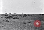 Image of U.S. Army 1st Cavalry Division maneuvers in Marfa, Texas Texas United States USA, 1923, second 33 stock footage video 65675036453